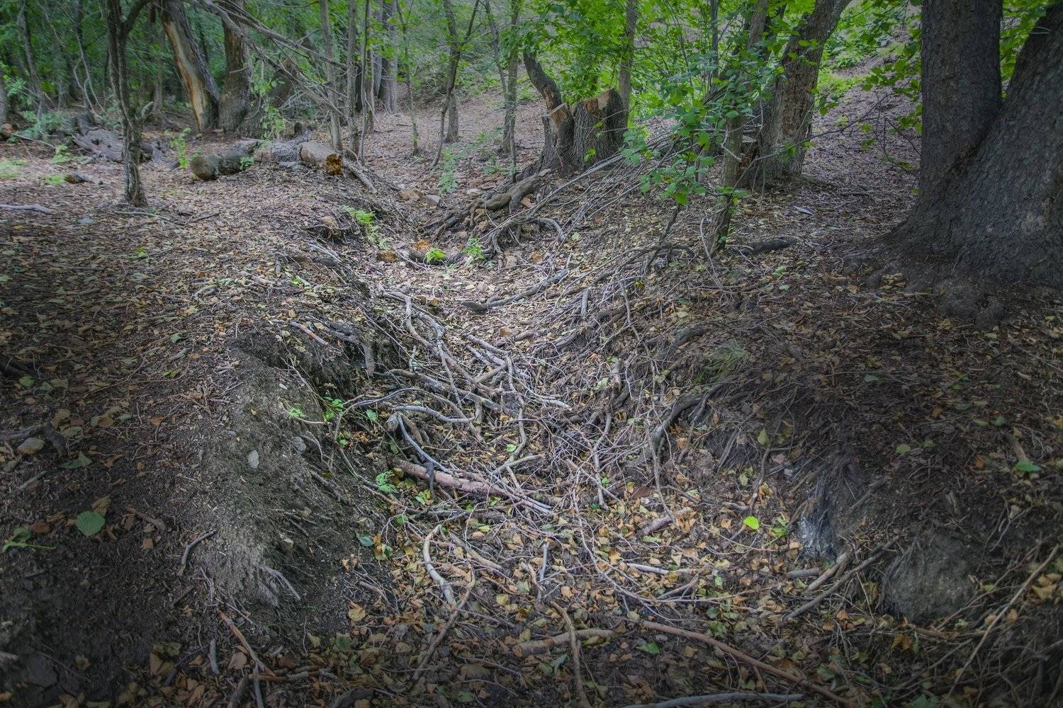 , петр чиков