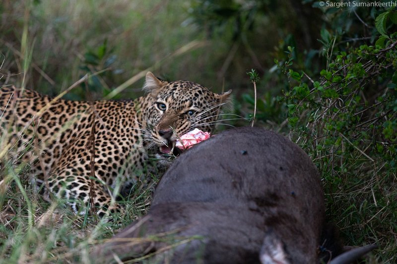 Enjoying an evening snacks фото превью