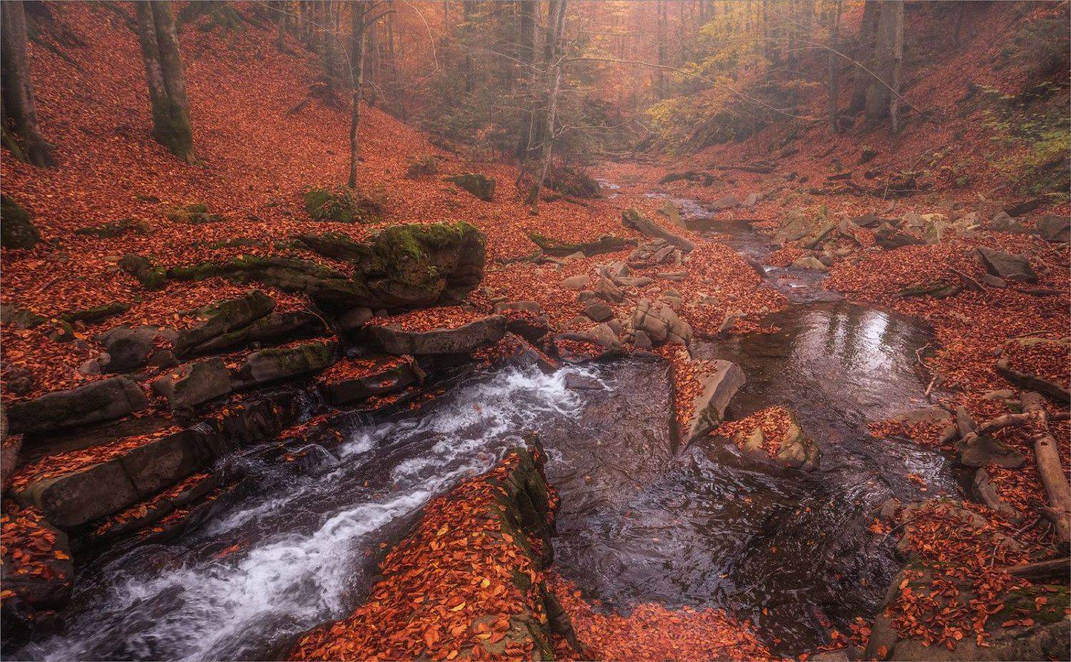 , Рудченко Анатолий