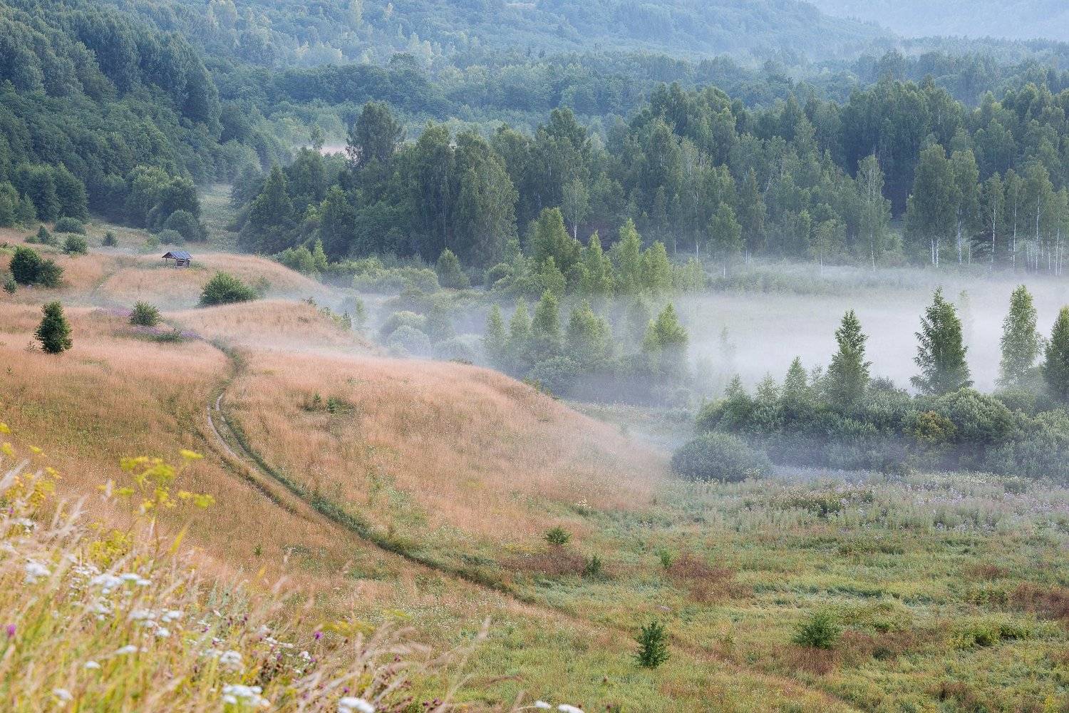псковская, область, Александр Писарев