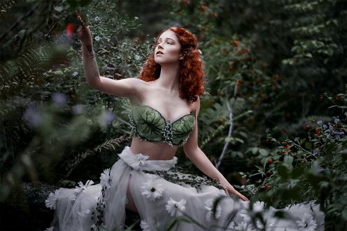 The Magic of Forest 
