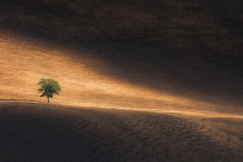 В солнечных лучах фото превью