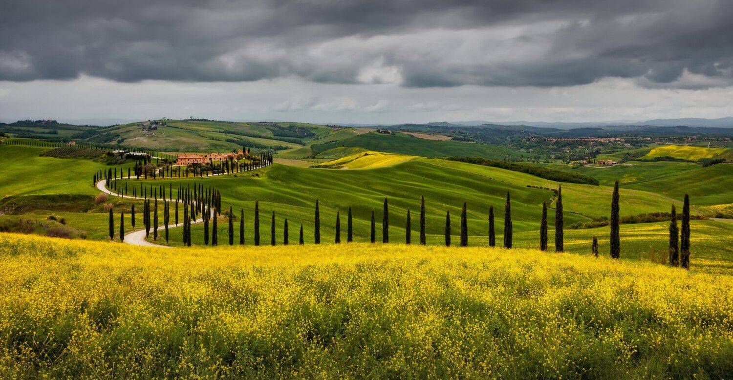 поля, холмы, Александр Безмолитвенный