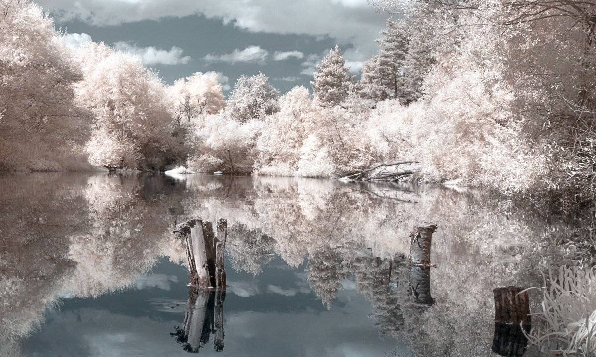 , Георги Славов