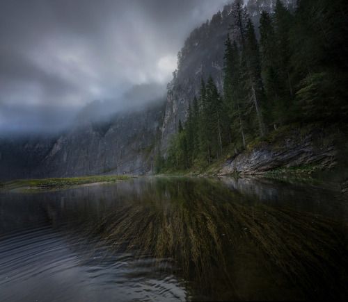 Туманный Мамбет