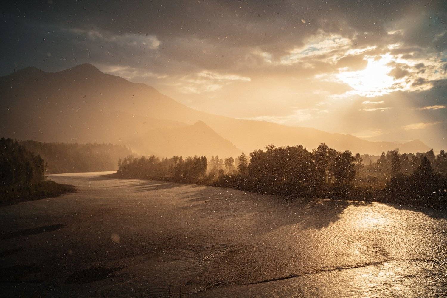 , Светлана Тимис