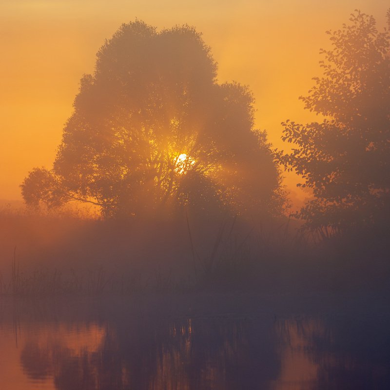 река, волчья, туман, рассвет, солнце, пейзаж, river, fog, dawn, sun, landscape Рассвет на реке фото превью