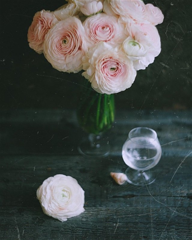 цветы, букет, нежность, свет  фото превью