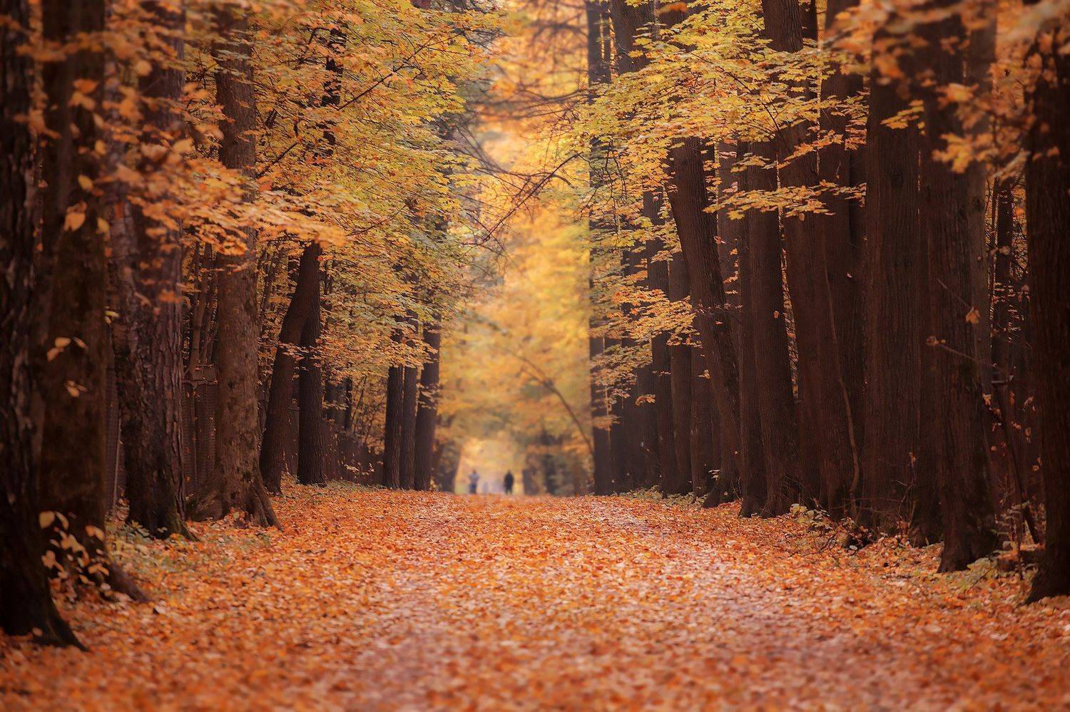 , Юлия Болдинова