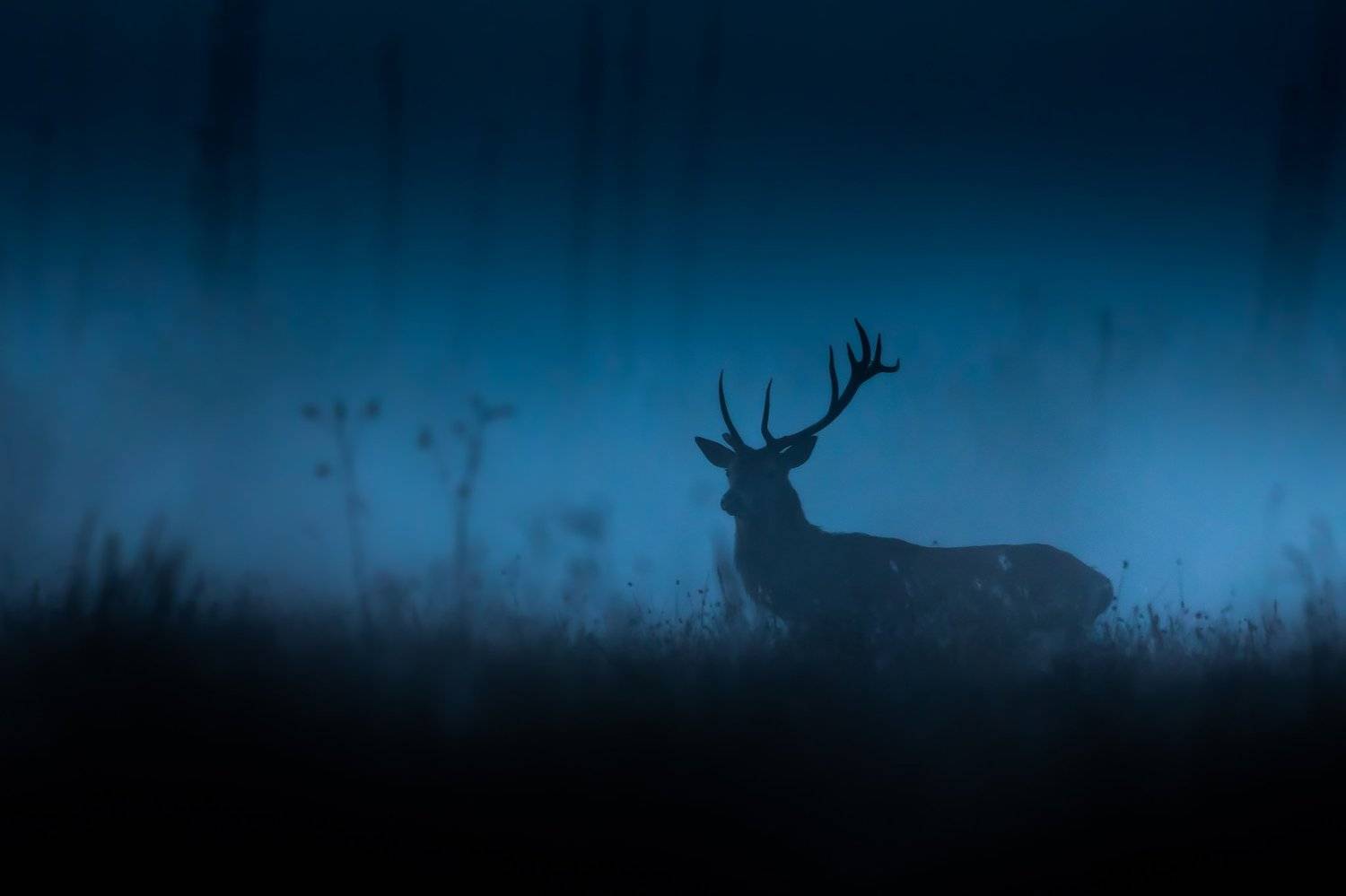 , Łukasz Sok&oacute;ł