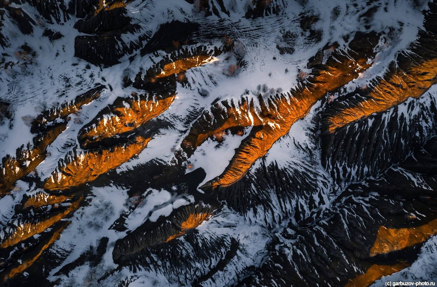 , Гарбузов Илья