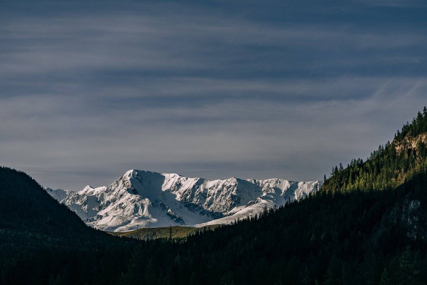Altai. Автор: Кирилл Соколов , Кирилл Соколов