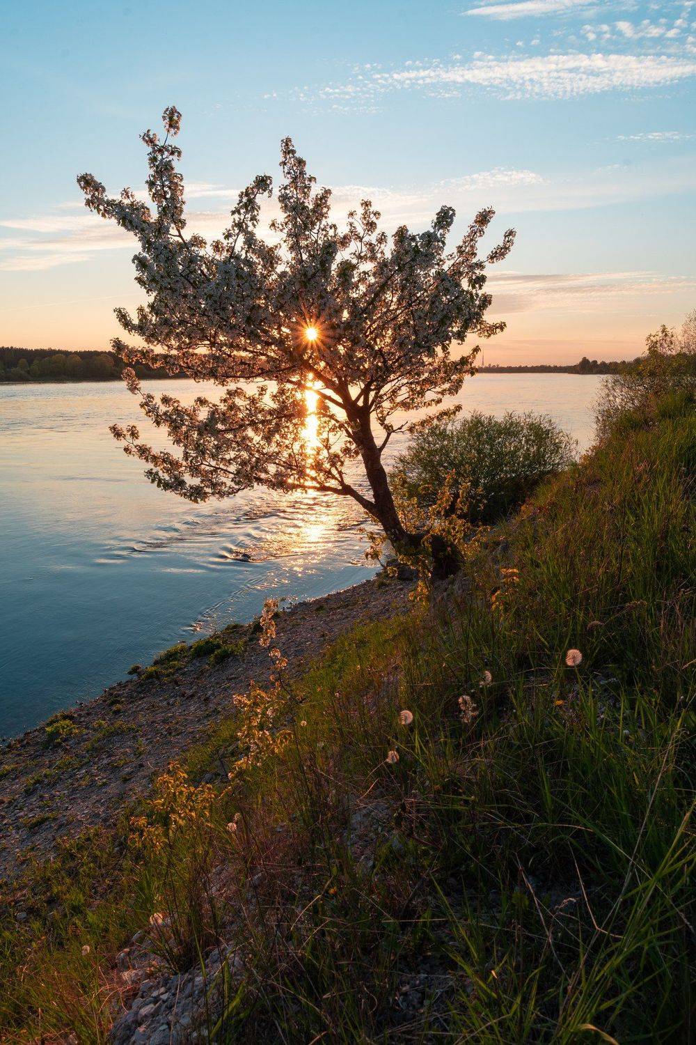 , Дмитрий Рябцев