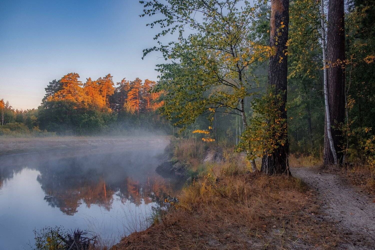 , Екатерина