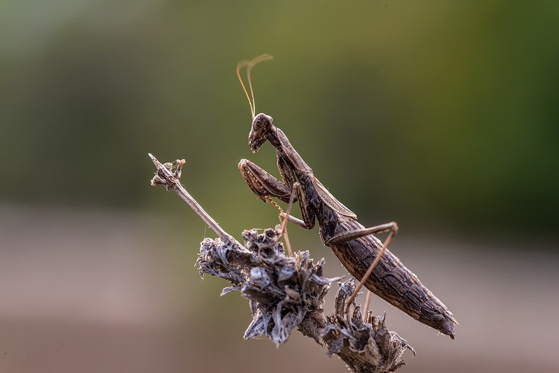На встречу ветру! фото превью