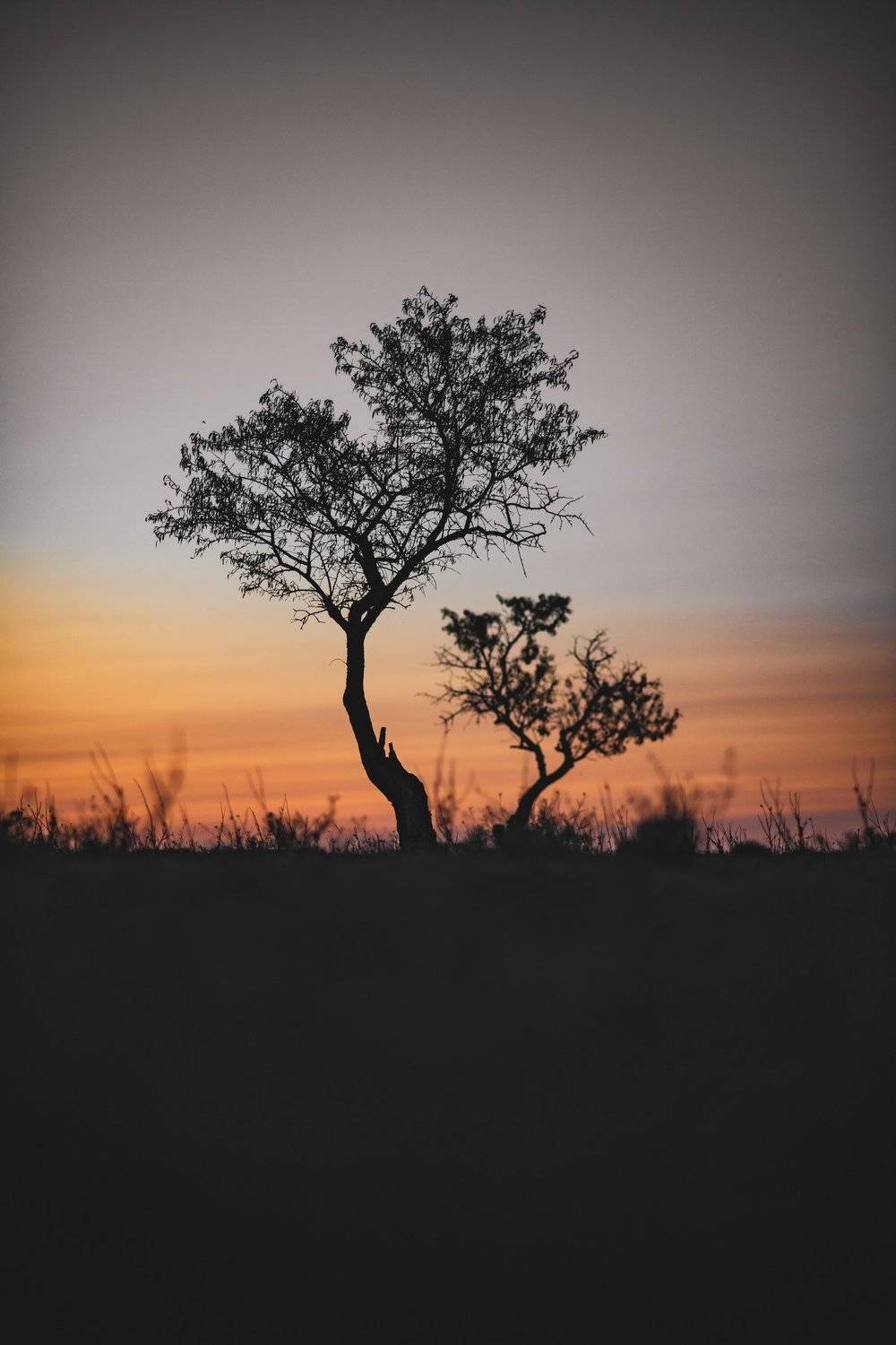 , Андрей Кривцов