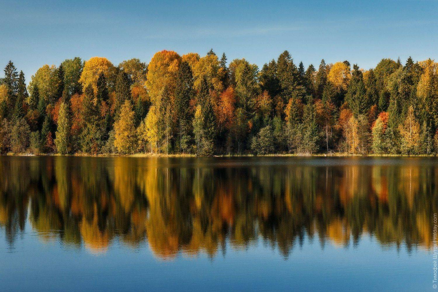 валдай, Тимофей Шутов