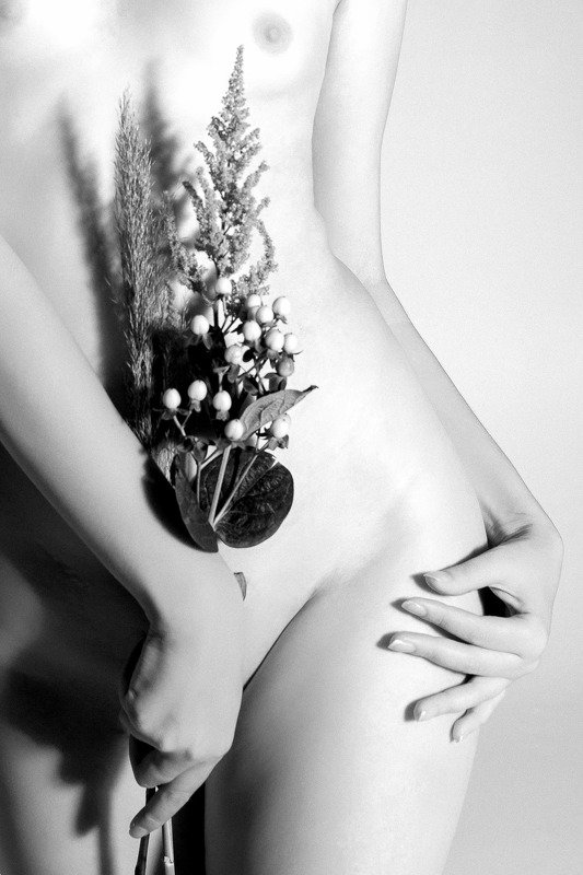 Цветок фото превью