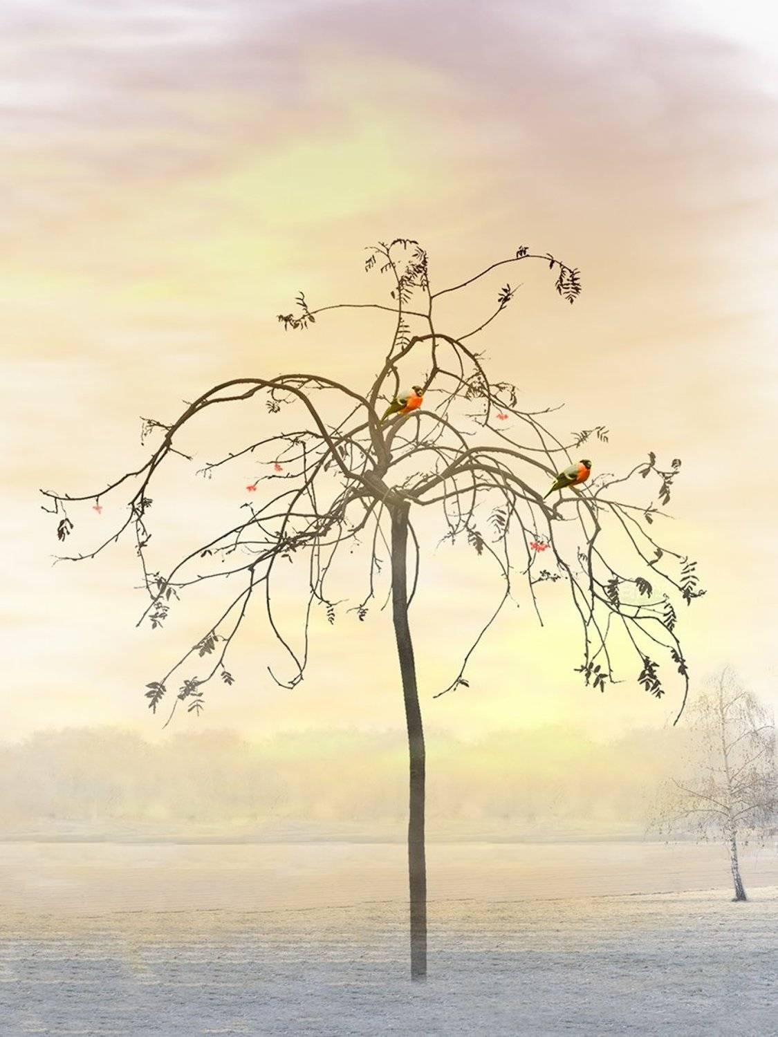 , T. Bondarenko