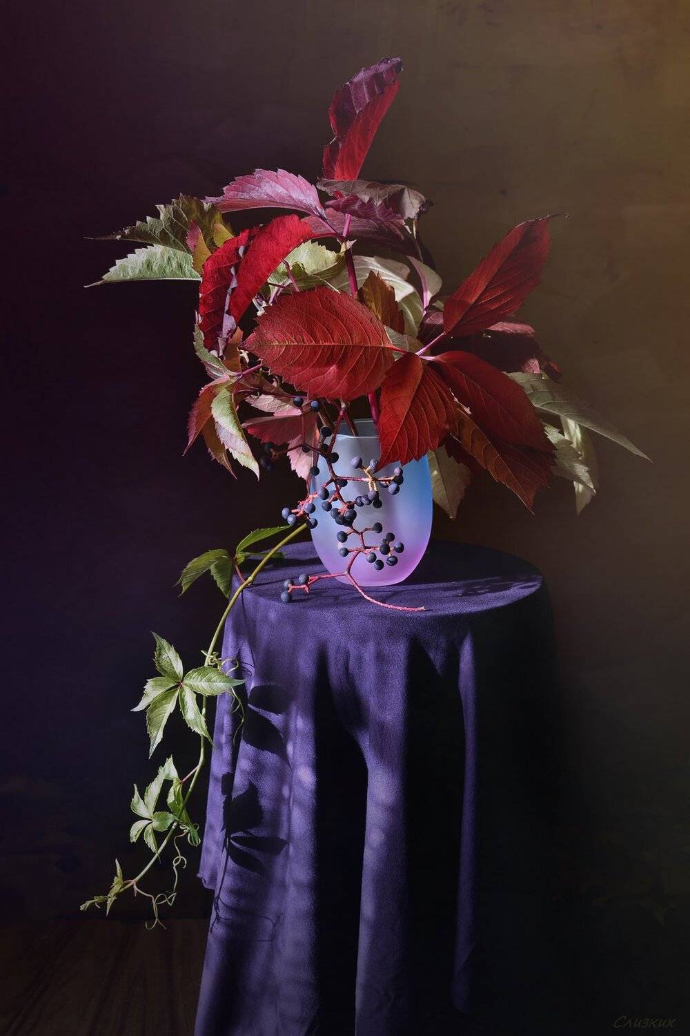 натюрморт,композиция,свет,осень,букет,листья,виноград, Инаида