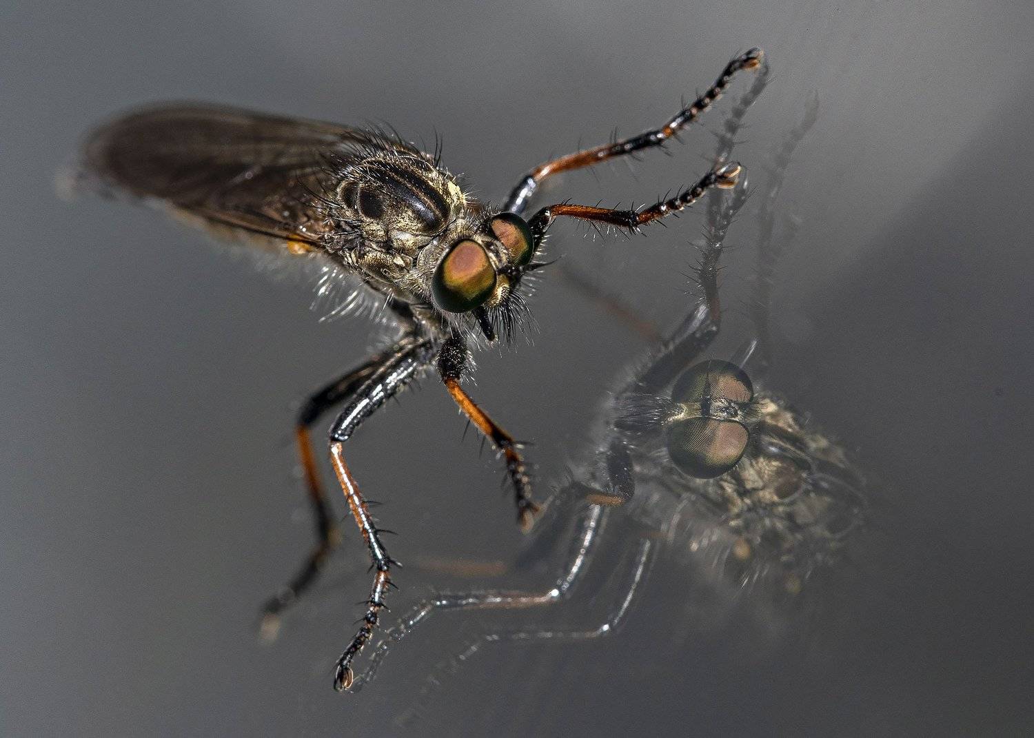 , Сергей Федоренко