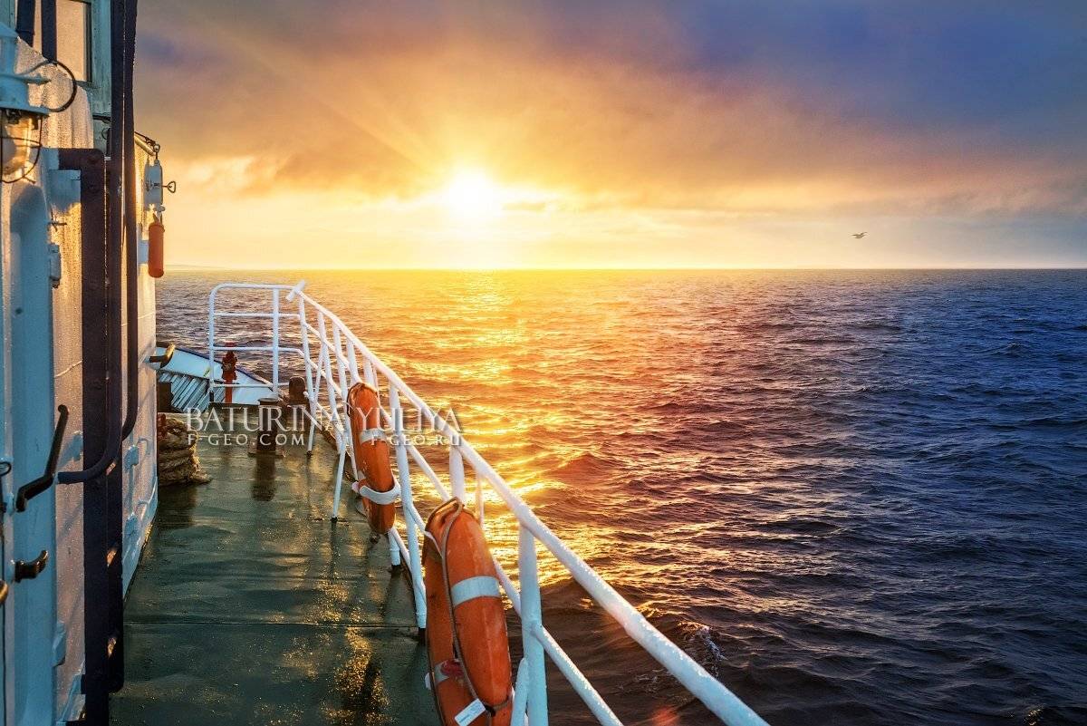 соловки, белое море, Юлия Батурина