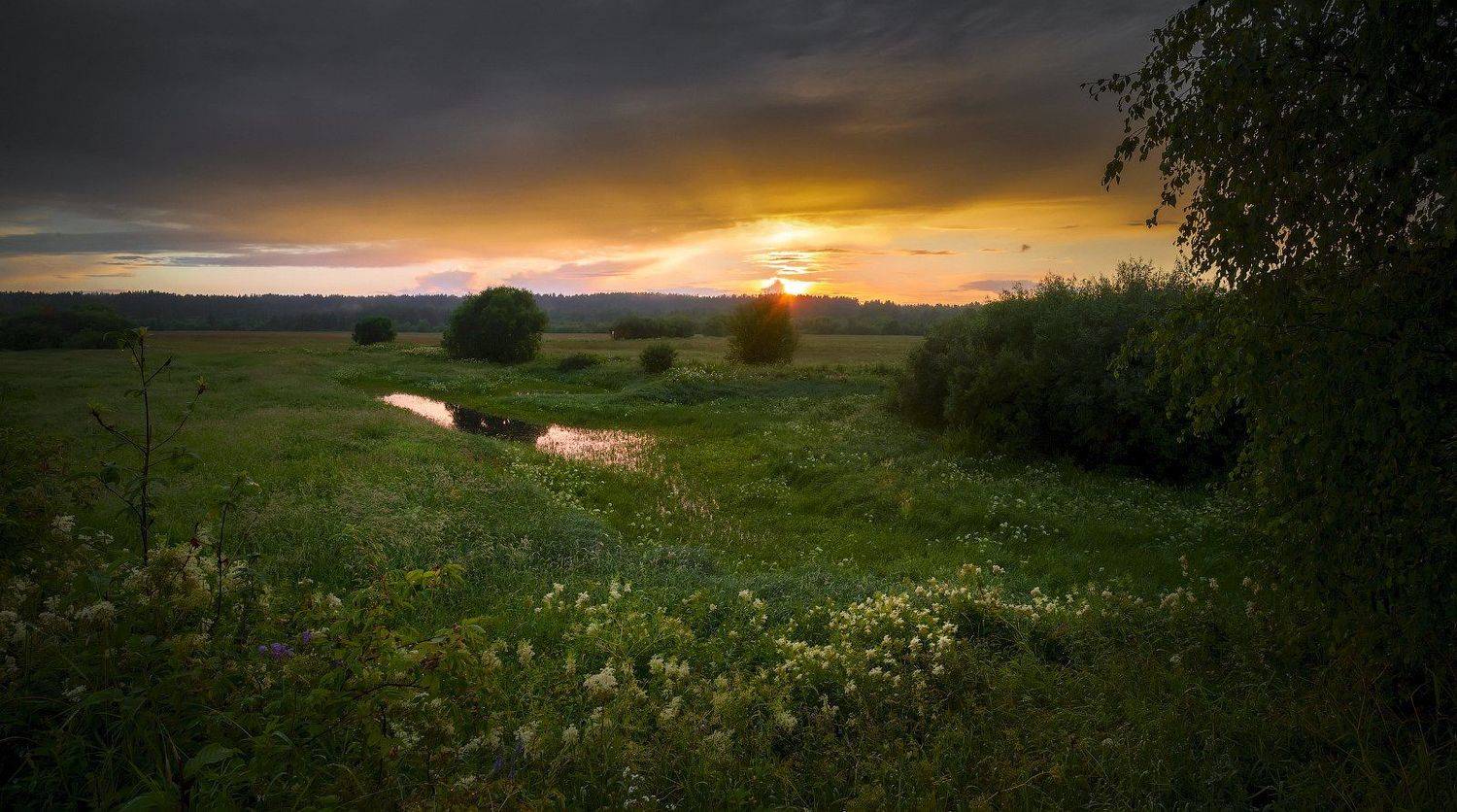 , Михаил Карпов