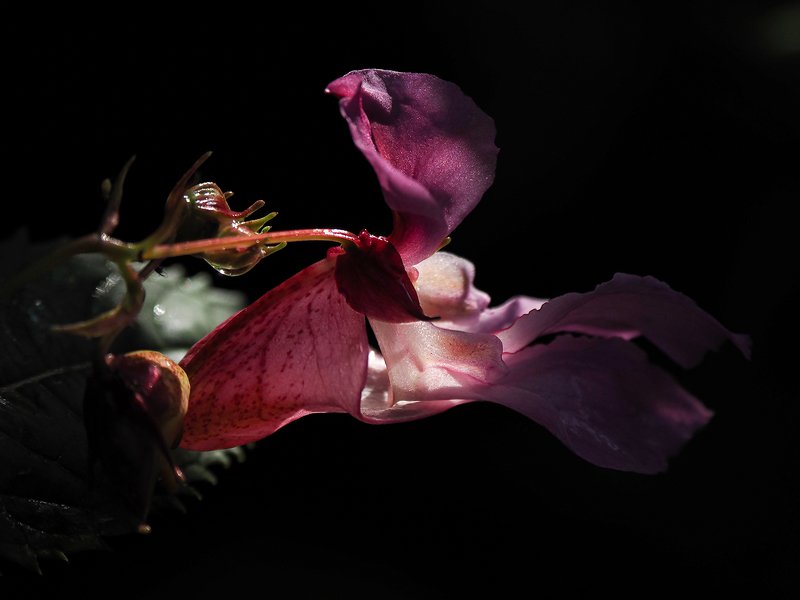 осенним утром фото превью