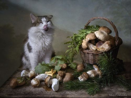 Вкуснятина!
