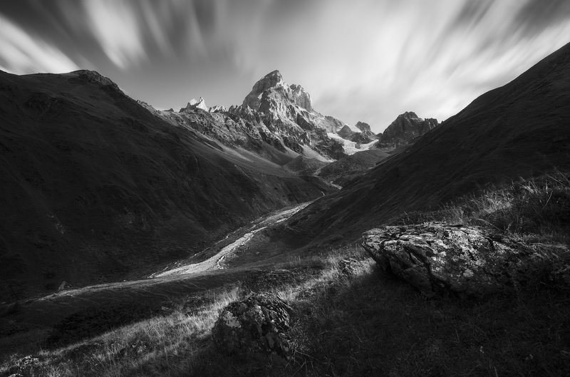 The King фото превью