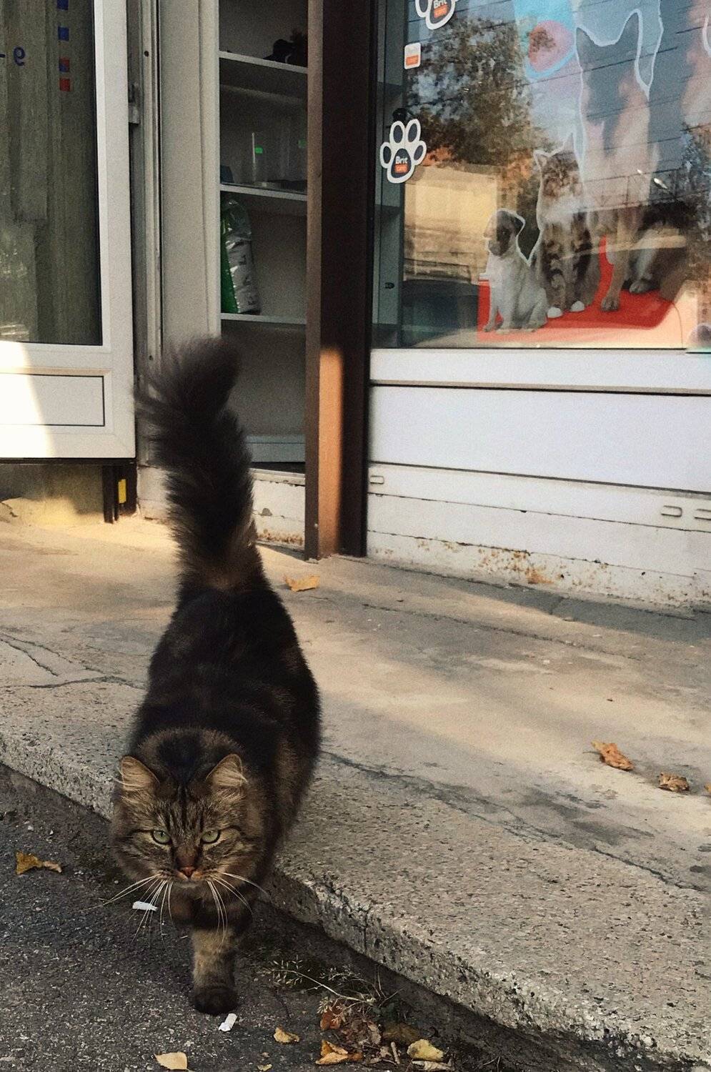 #iphone, Artur Politov