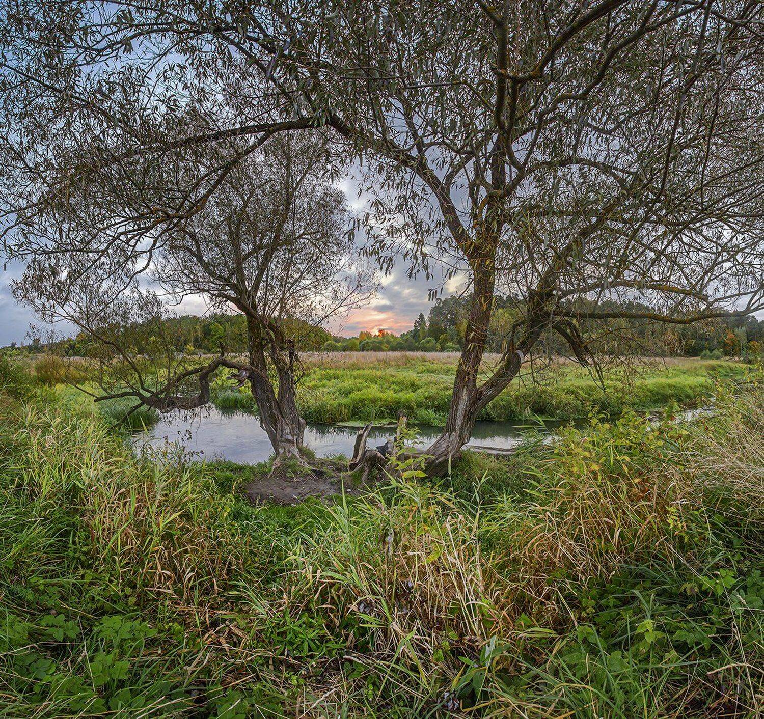 , Николай Андреев