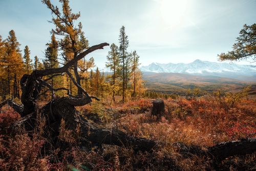 Рассвет осени