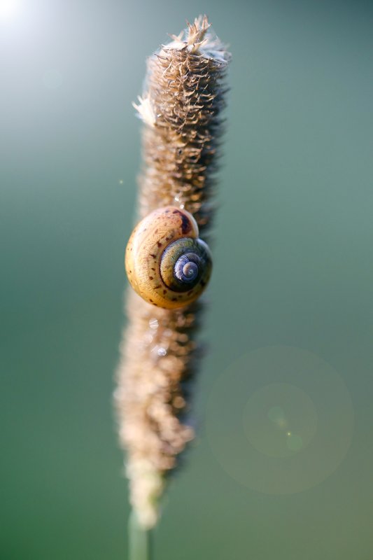 Nature фото превью
