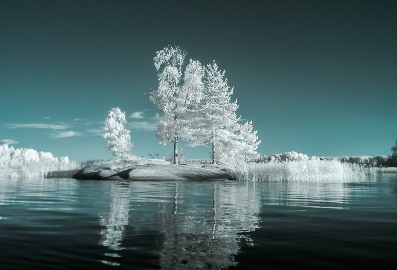 Инфракрасная съемка? инфракрасная фотография, ir, ладога, Лодожское озеро, Карелия, сосна, остров, озеро, вода, Ладога фото превью
