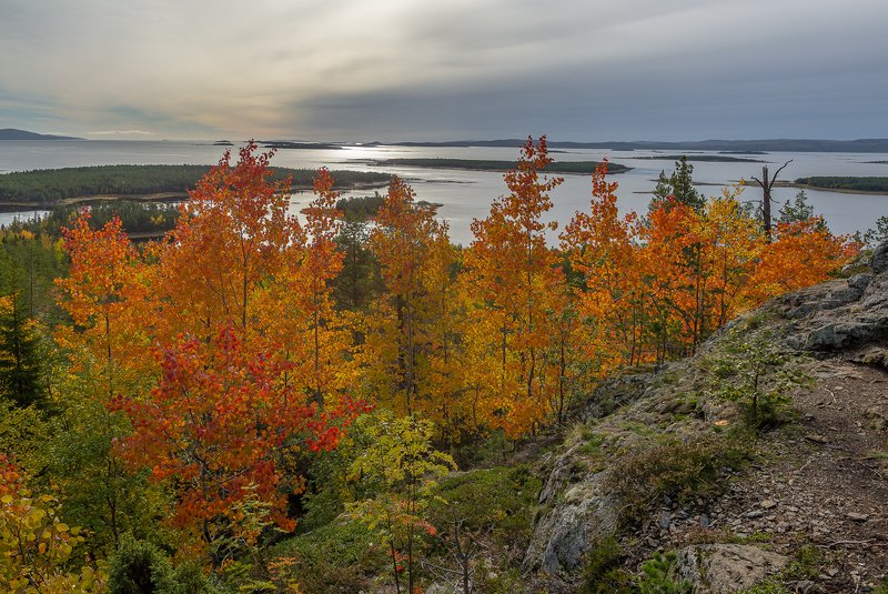 ...осень на Кольском фото превью