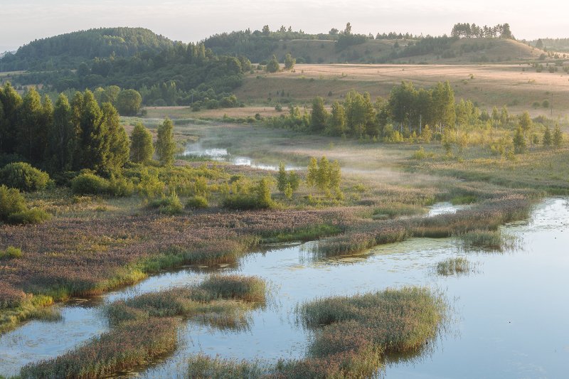 псковская, область Изборско-Мальская долина фото превью