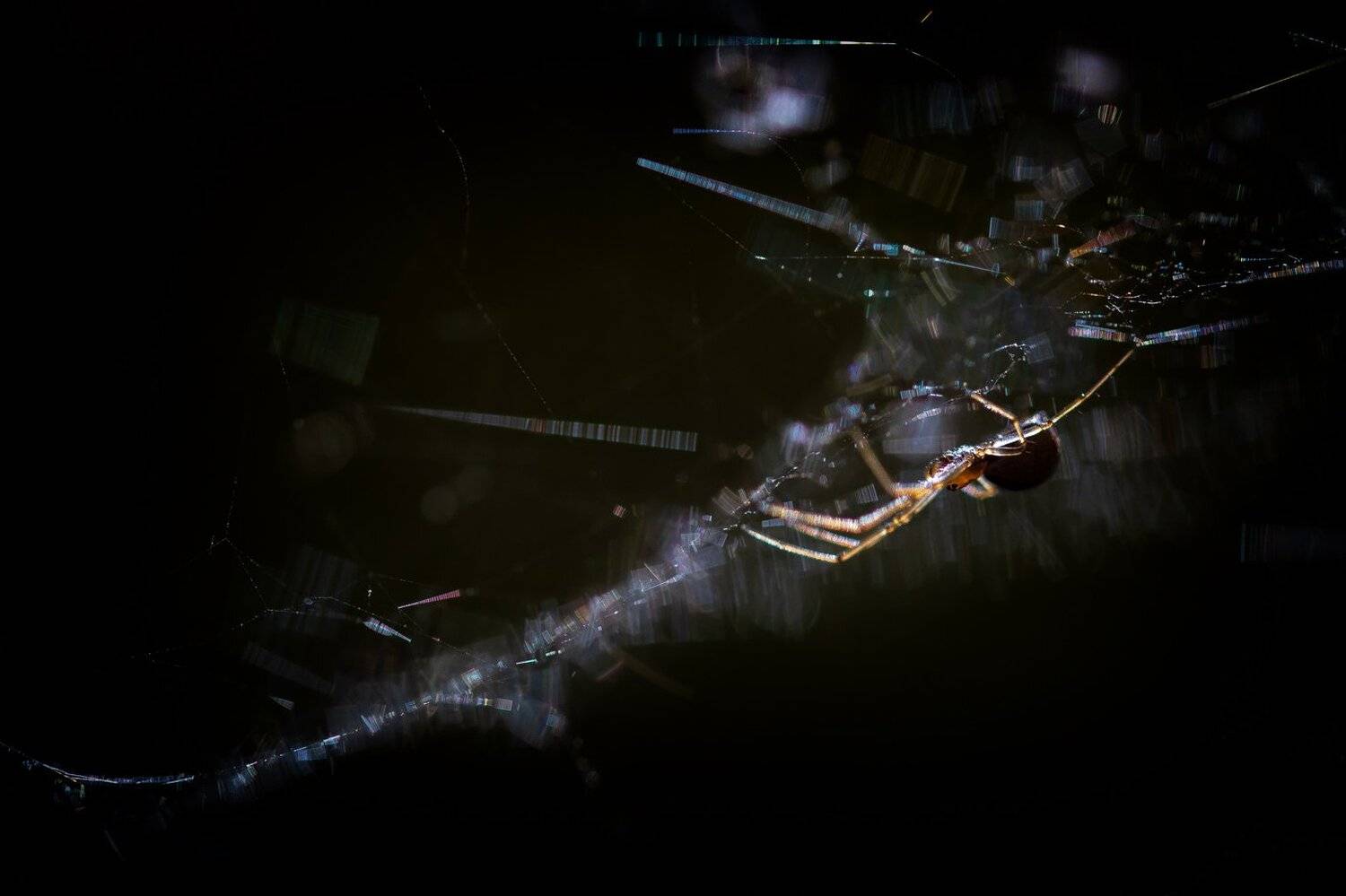 , Кузнецов Дмитрий