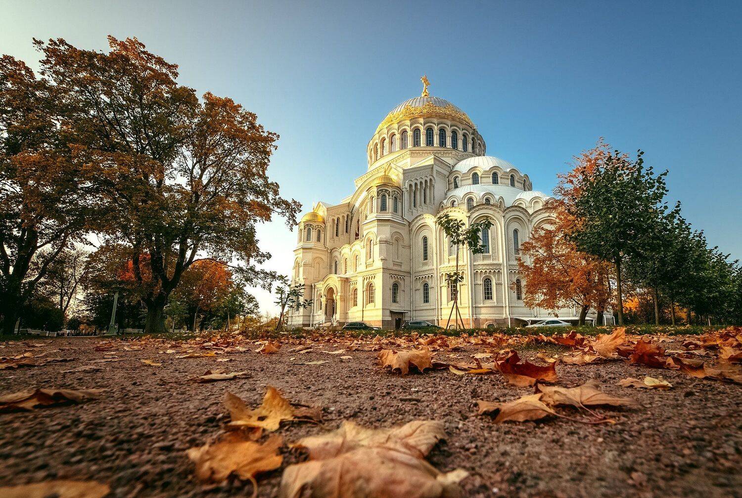 , Рут Андрей