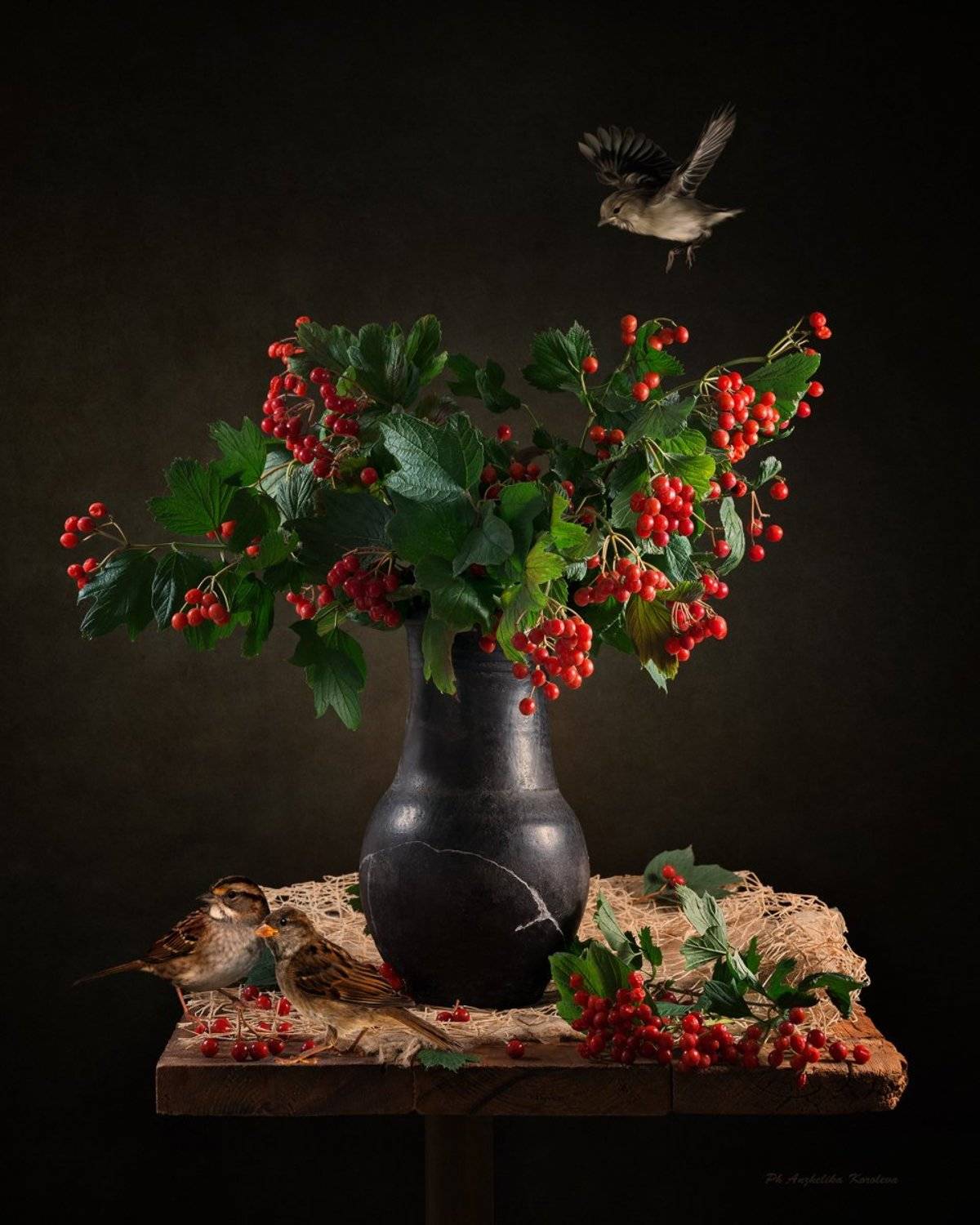 , Анжелика Королева