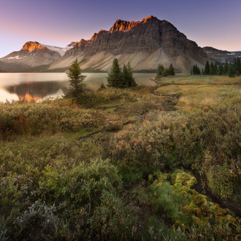 canada, rockies, bow lake БОУ фото превью