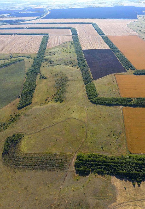 #Дрон, #коптер, #аэро, #Россия, #Drone,  #copter, #Aero, , #Russia, #aerial, #rtgtv Государственная защитная лесополоса фото превью