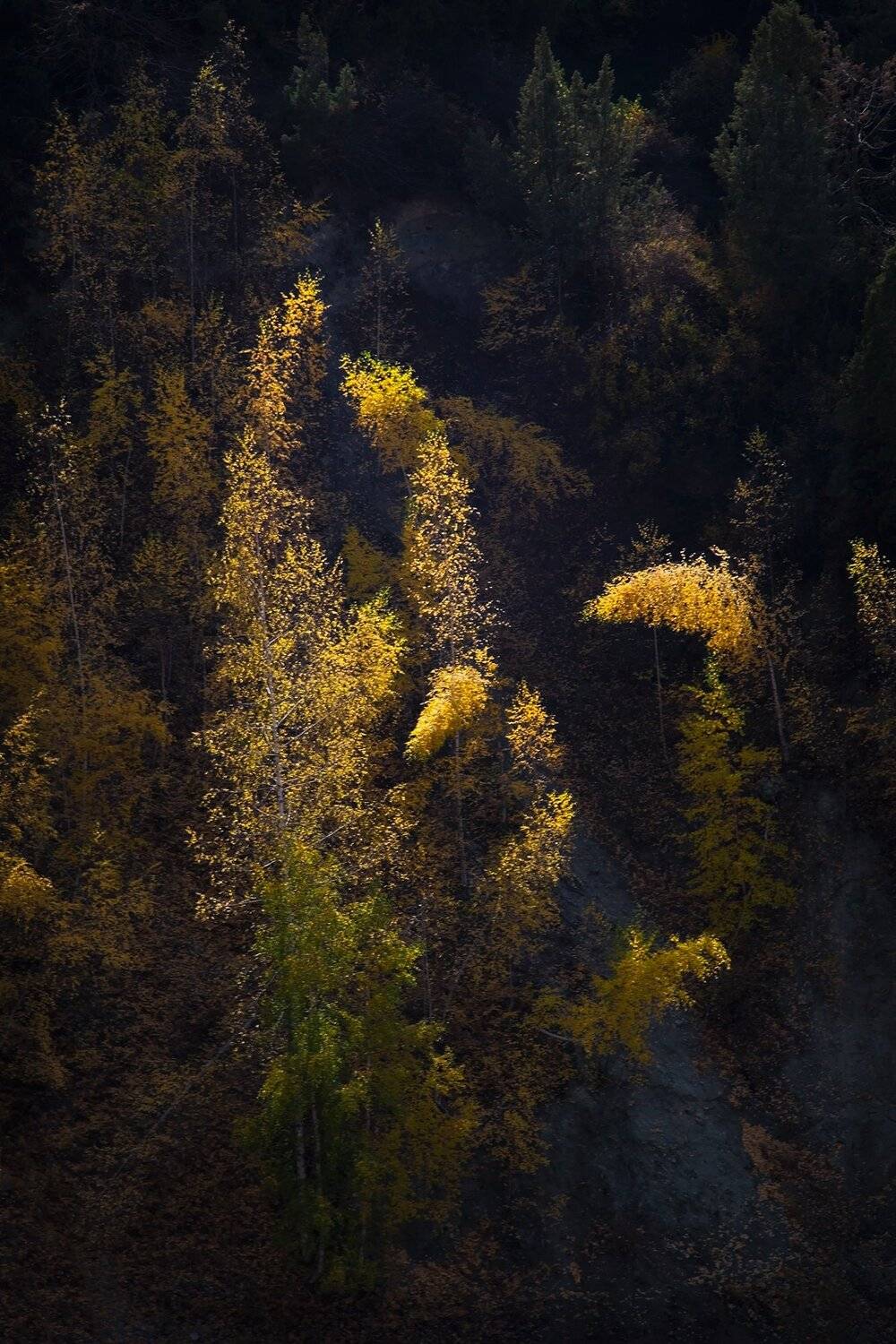 кыргызстан, горы, Элина Магалимова