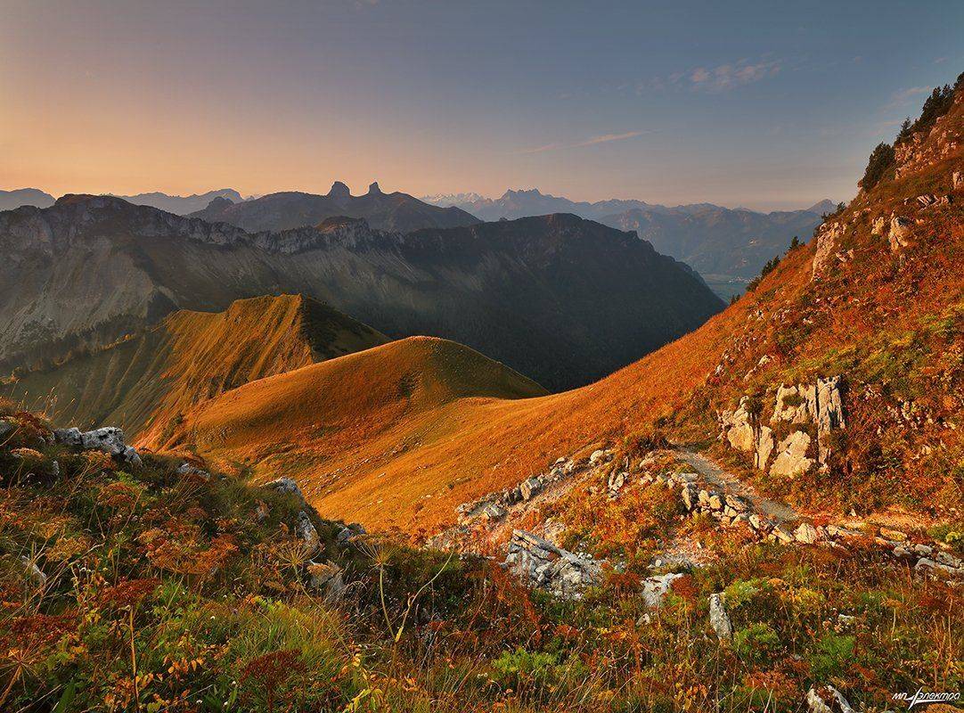 swiss, Матвеев Николай