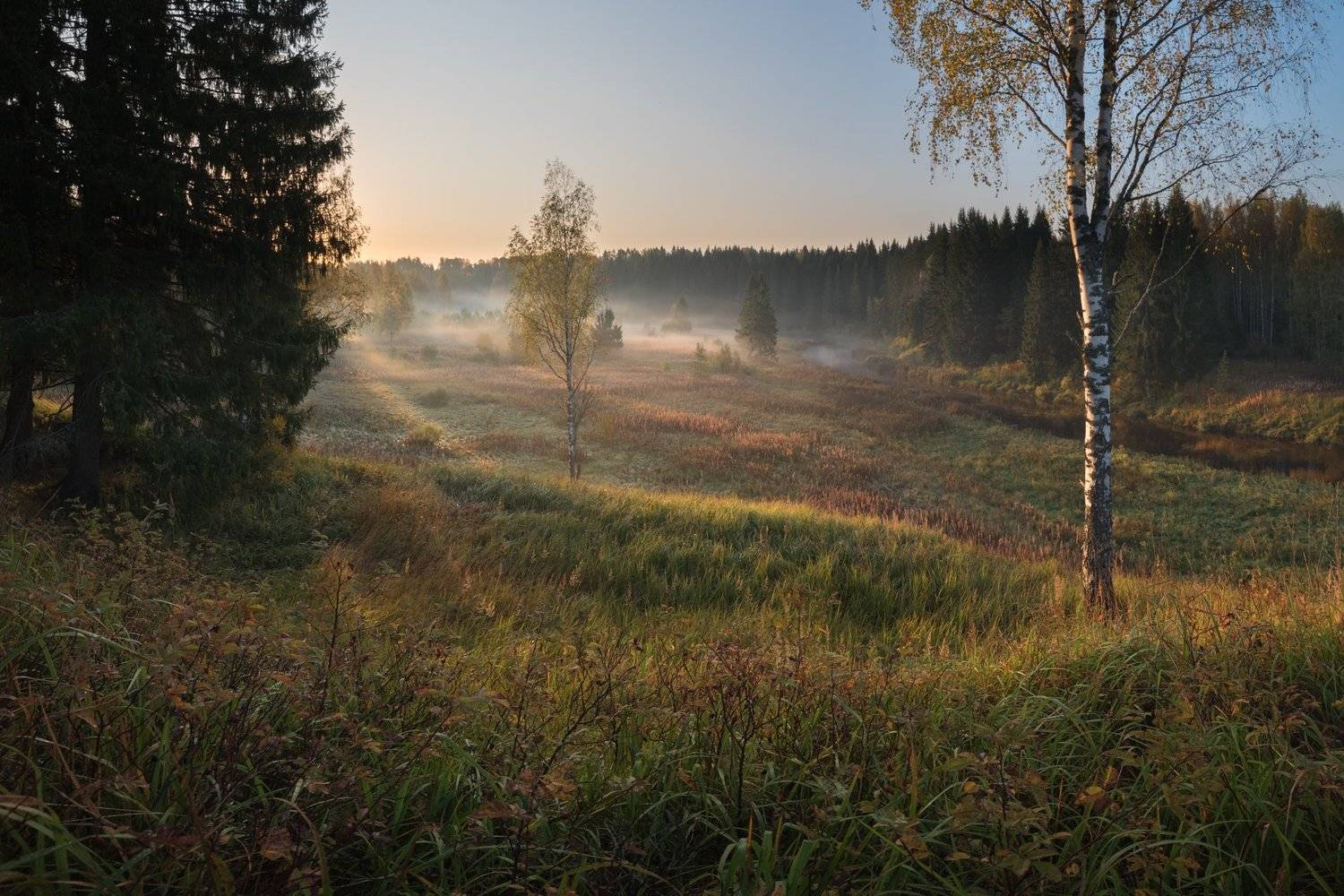 , Роман Фабричный