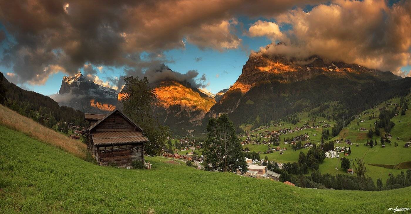 swiss, Матвеев Николай