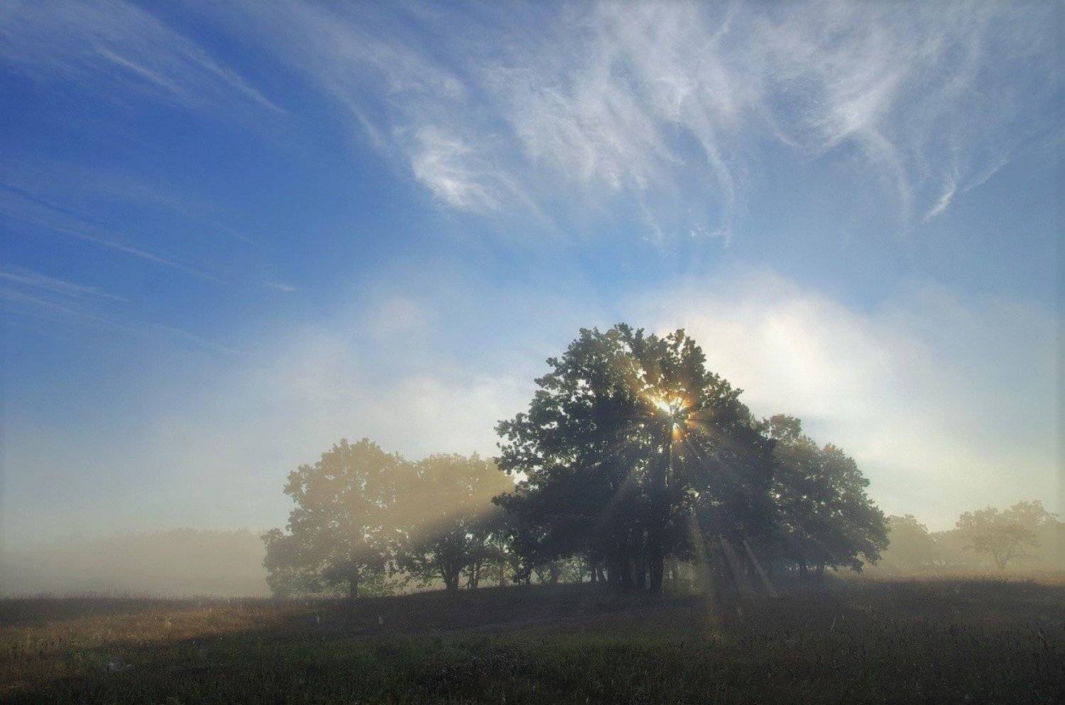 , Сергей Шляга