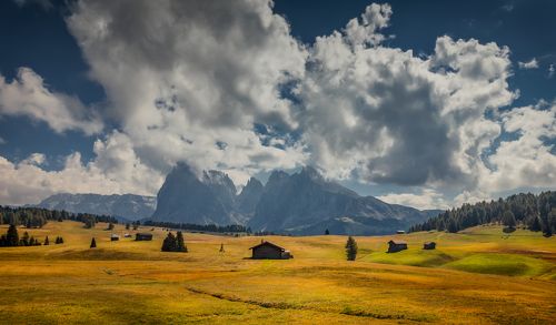 поле облаков