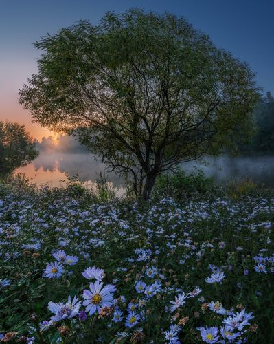 На рассвете