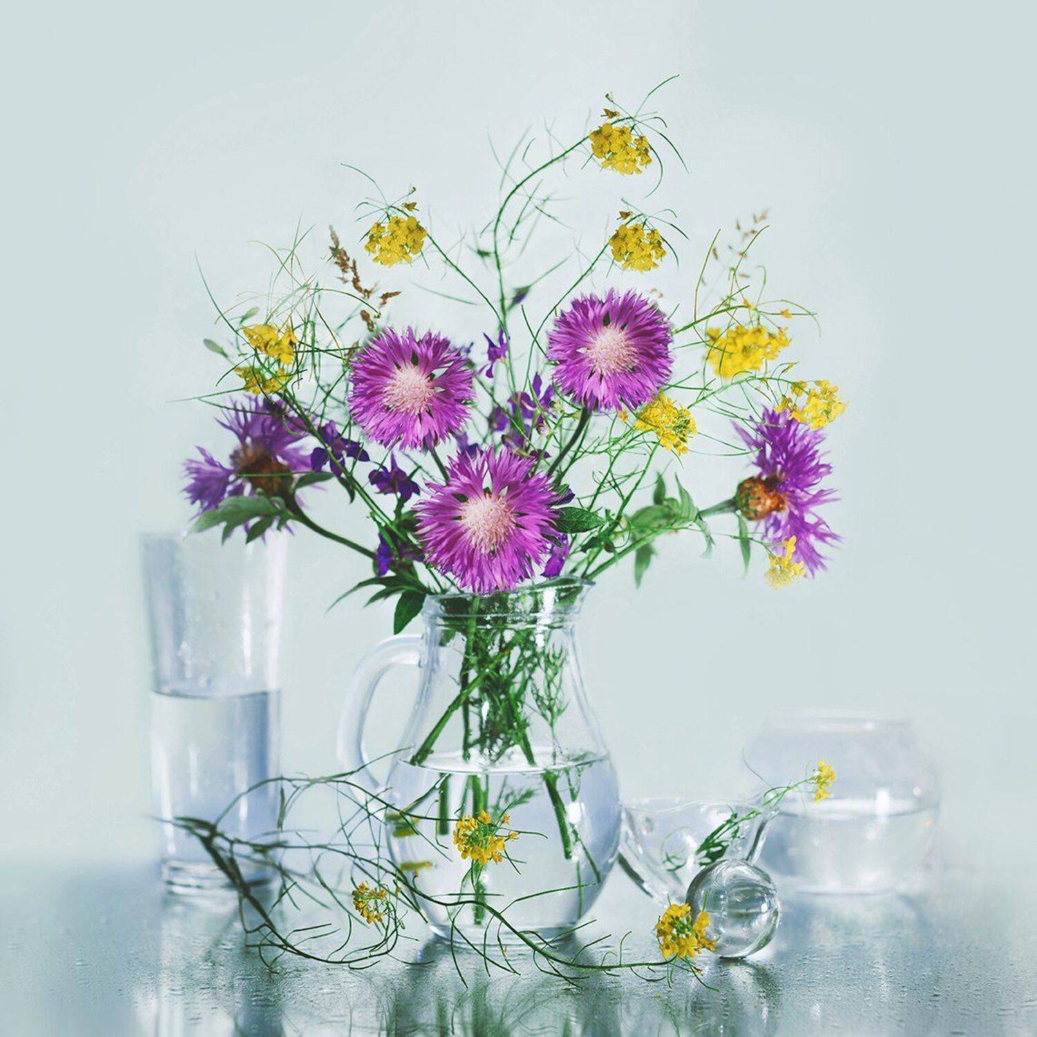 , MVO (Марк Орлов)